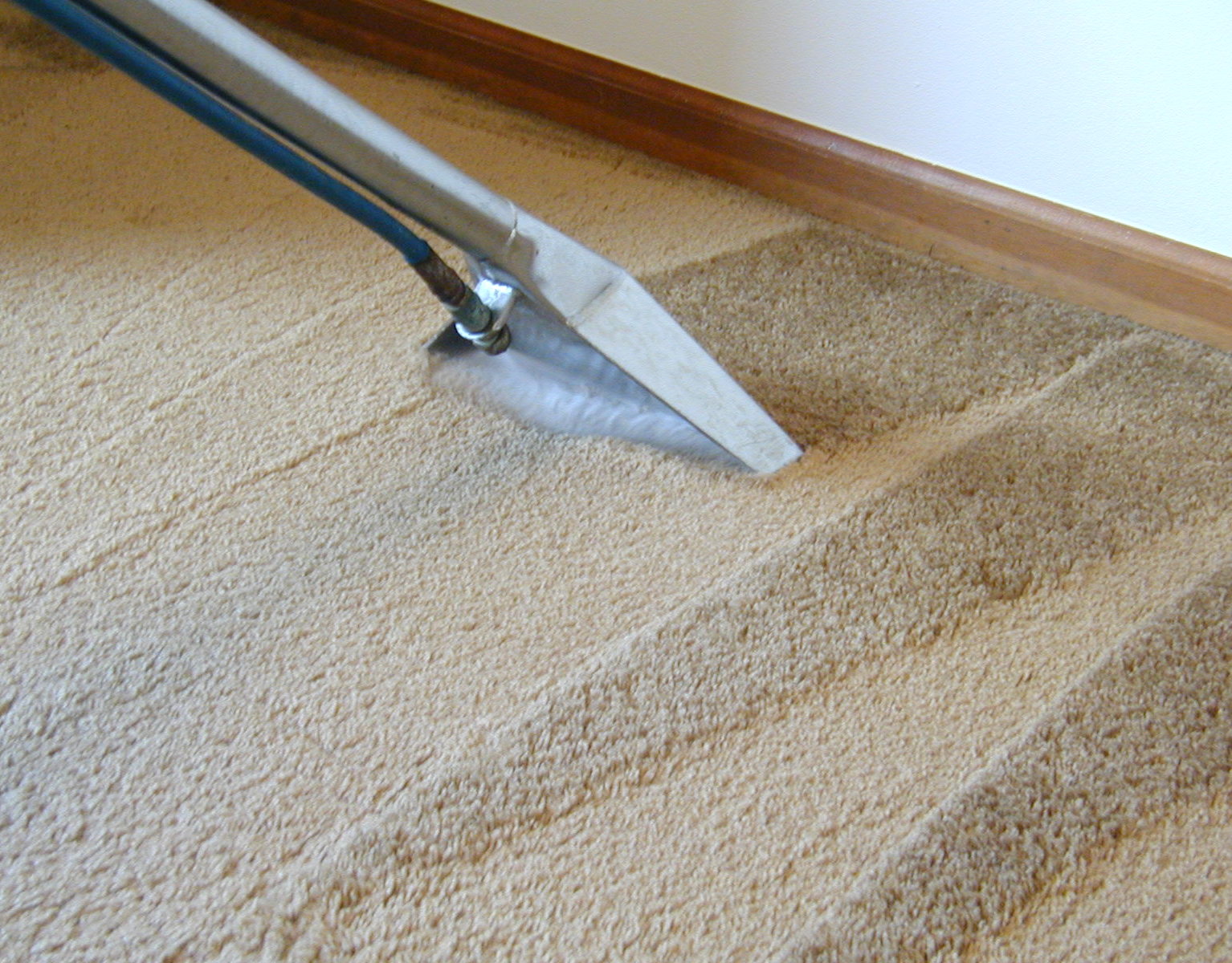 Professional Carpet Cleaning Freedom Restoration & Cleaning